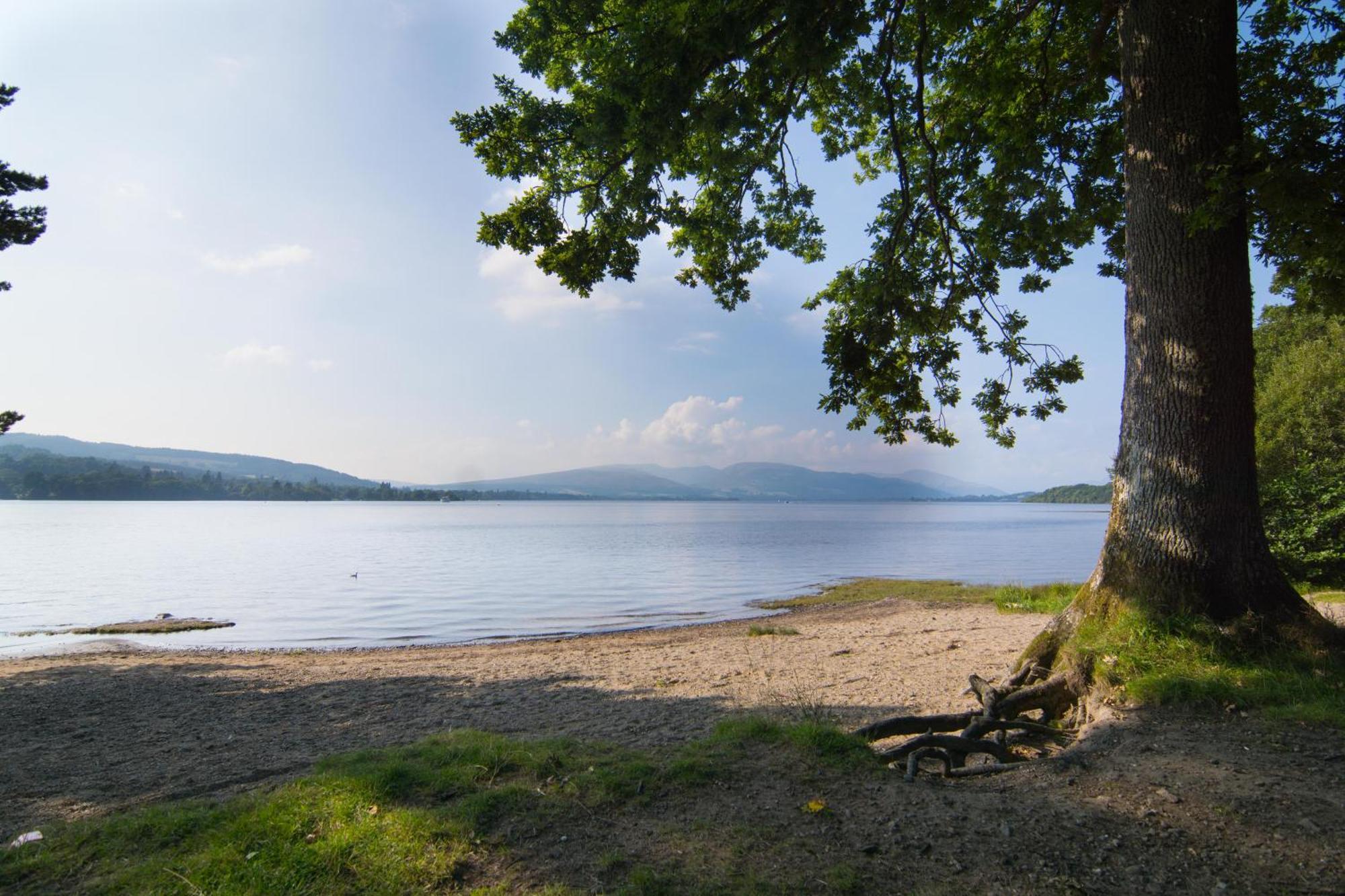 Norwood Guesthouse-Loch Lomond Баллох Номер фото